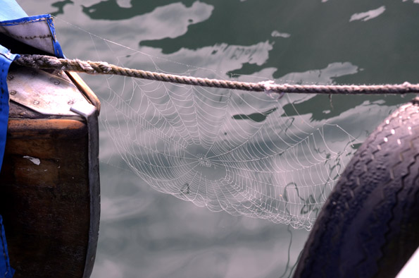 Photographiert von Marc Strohfeldt - www.nachelf.de